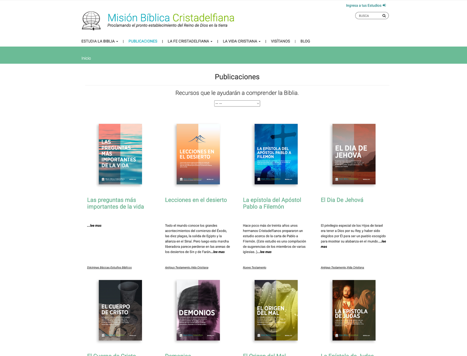 development shopify website